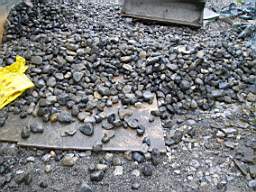 coolross 2825.jpg